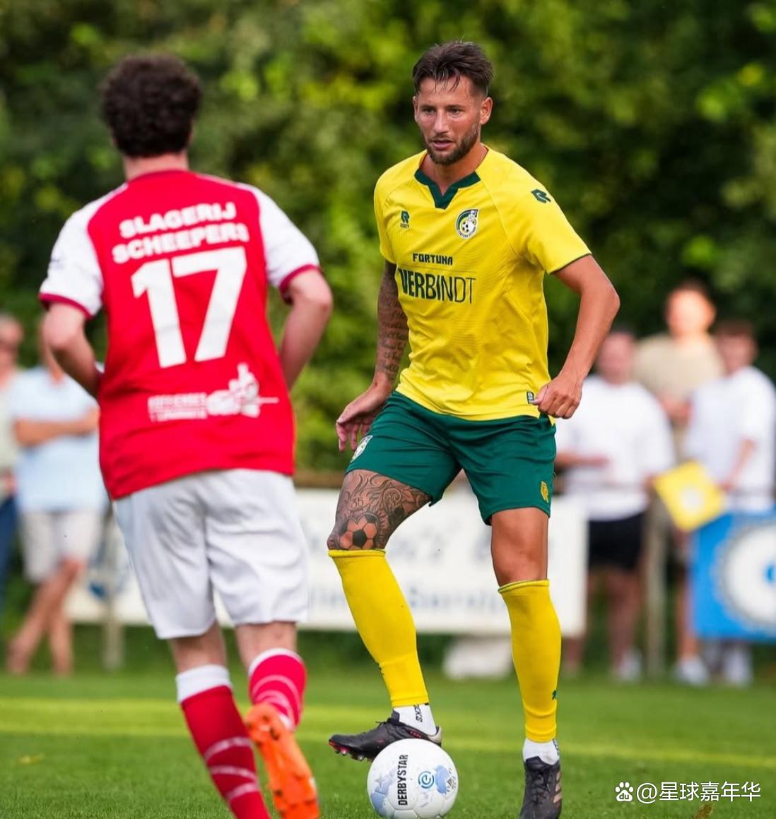 荷甲直播在线观看高清